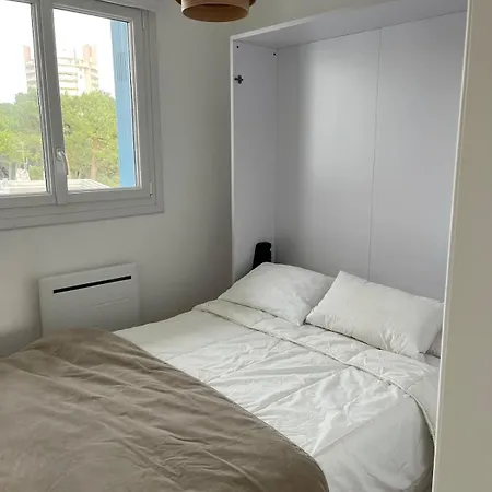 Appartement T 3 Place Des Palmiers Les Pins *